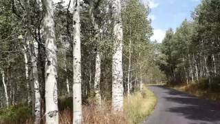 Alpine loop - Utah in September