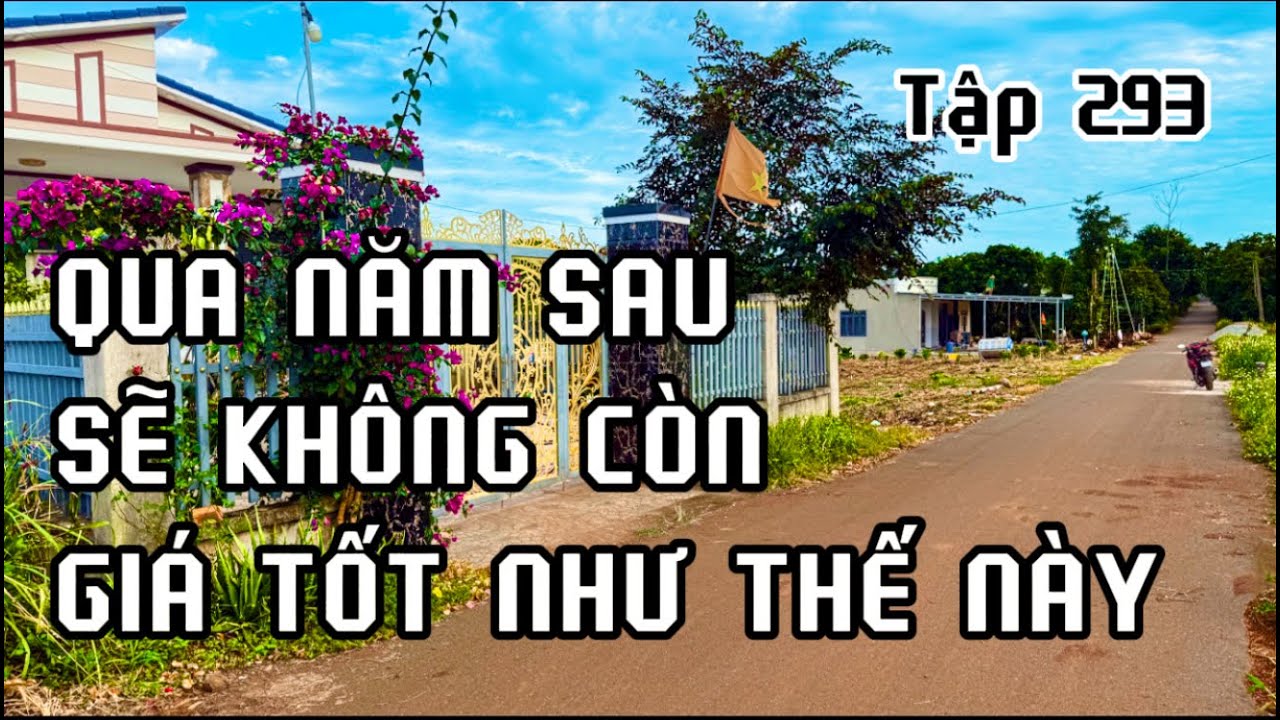 lô đất vườn giá còn quá tốt để đầu tư.đất vườn vùng ven bà rịa vũng tàu