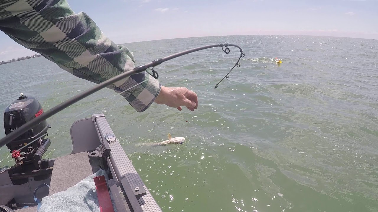 Lake Erie Pike Don't Do This