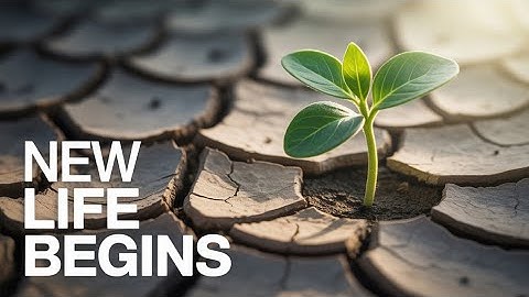 Transform Your Life With This Simple Mindset Shift