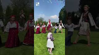 #повстанськіпісняСоловей співає на калині#short #shorts