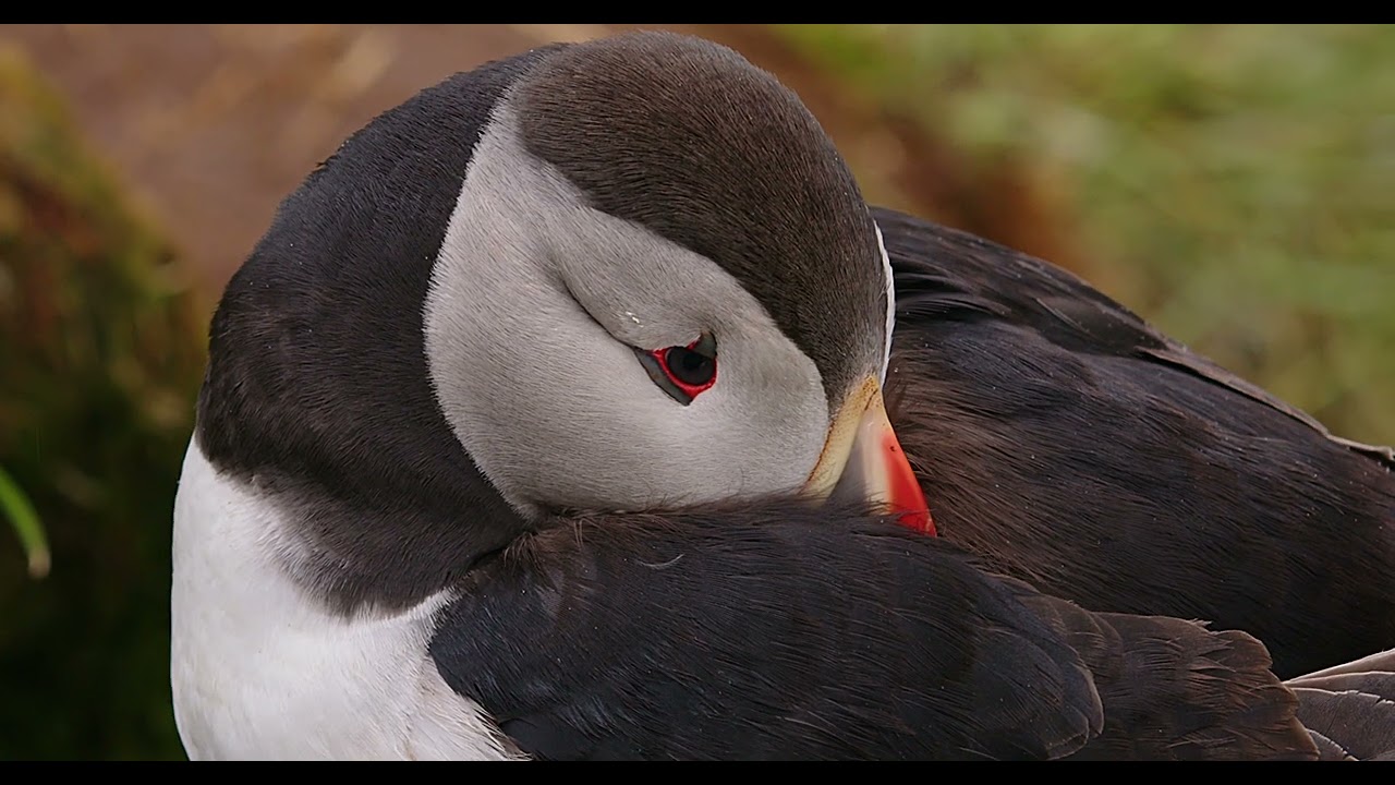 Langs de ringweg in IJsland