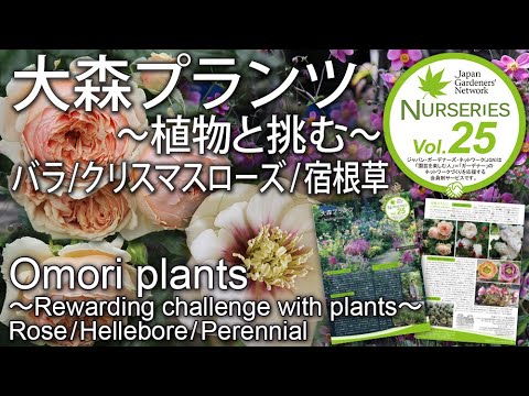 Jgnナーセリーズ25 大森プランツ コピスガーデン バラ クリスマスローズ 宿根草 植物と挑む Omori Plants Coppice Garden Rose Hellebore Youtube