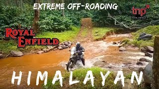 Royal Enfield Himalayan BS4 vs KTM Duke Extreme Off Road and River Crossing in Monsoon Chikmagalur