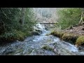 From the middleearth  nature sounds water stream river sounds river landscape nature beauty