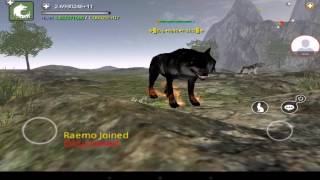 Wolf online low grad code