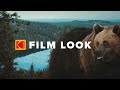 How To Get The CINEMATIC LOOK For Your NATURE FILMS