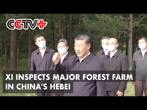 Xi Jinping inspecte un important site de culture forestière de la province du Hebei, dans le nord de la Chine