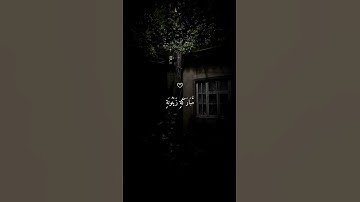 الله نور السماوات والأرض القارئ ماهر المعيقلي 😴❤ اكتب شيء تؤجر عليه