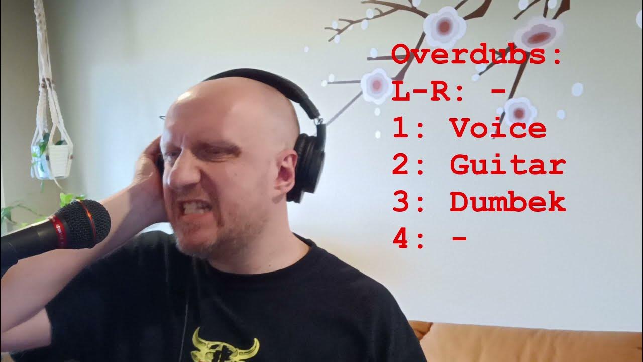 Zoom H6 for layered demos overdub mode YouTube