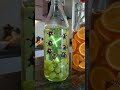 Home Brewed Kombucha - A Probiotic Drink and Gut Doctor