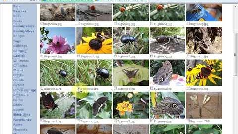 RepeatServer.Com - Downloading sample image files