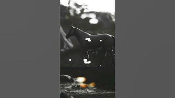 Horse Animation in Maya and Rendered in Unreal Engine