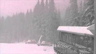 Snowing At Meadows WebCams