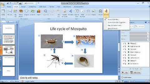Std VI Lesson 5 Animating Text and Object in PPT Part2