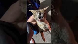 Komik Haller Şfet Şfetbeniöneçıkar Şfetedüş Sönmez Reis