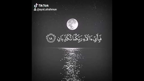 حالات واتس اب قران 🌺💞 // سورة الرحمن 💓// ايات قصيرة/حالات قران