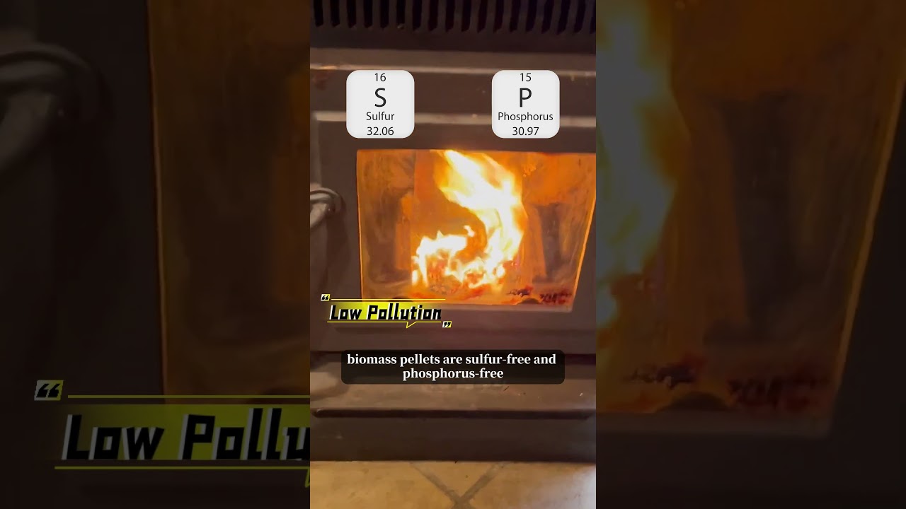 Biomass Pellet v.s. Coal | YULONG Pellet Machine | BISON MACHINE