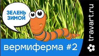 Выращивание зелени зимой на гумусе. Домашняя вермиферма 2(, 2017-11-26T01:34:47.000Z)