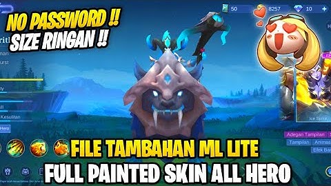 Data Open Painted Skin All Hero Terbaru Patch Transformers | File Tambahan Ml Lite