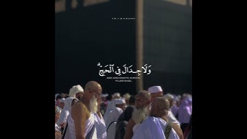 أرح سمعك 🥀القارئ: وديع اليمني 🍃حالات واتس آب