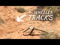 THEY DROVE RIGHT PAST IT: ELK SHED HUNTING with ShedCrazy and Antler Trader THEY DROVE RIGHT PAST IT: ELK SHED HUNTING with ShedCrazy and Antler Trader