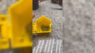 Woman claims to have found weed in Happy Meal at Middletown McDonalds