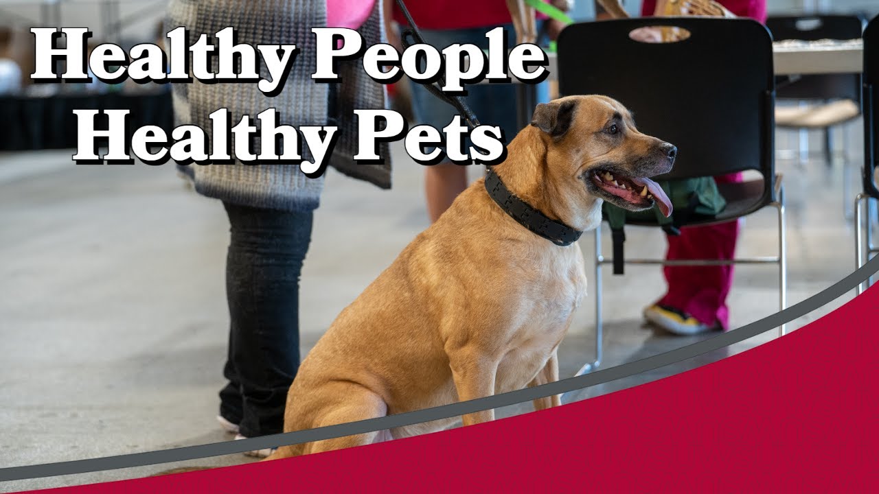 Dogs, Healthy Pets, Healthy People