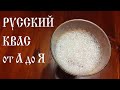 Русский квас на ржаной закваске от А до Я