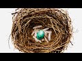 2021 outlook for retirement savings: Here are changes to look for with your nest egg