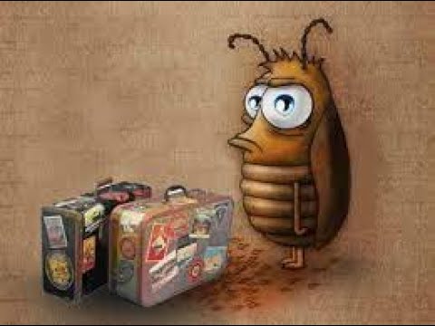 Кукарача - веселая песенка про таракана