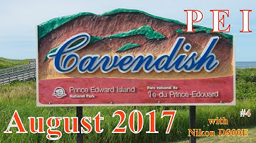 My Photographic Diary: August 2017 (No. 4)