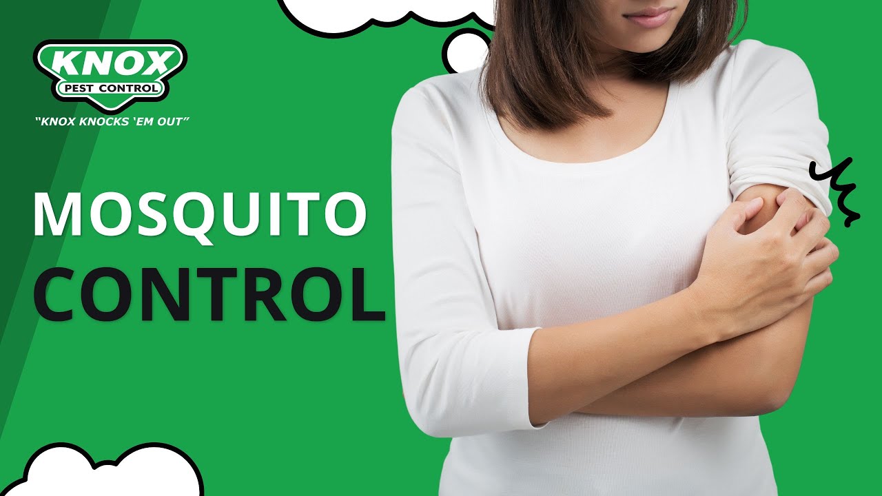Knox Pest Control Mosquito Control YouTube