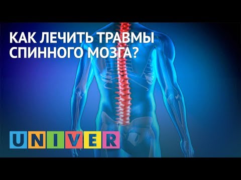 Как лечить травмы спинного мозга?