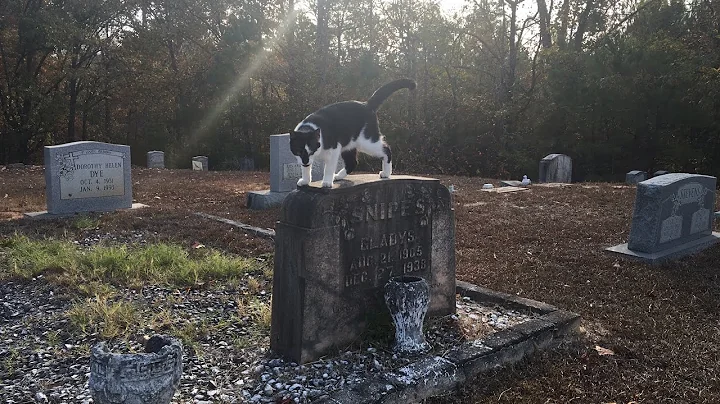 Long Lost Grave of Elvis's Twin Brother - Jesse Garon Presley