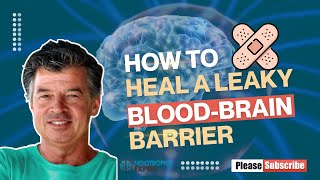 How to heal a leaky blood brain barrier