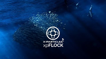 INSYDIUM Beta Access - Sneak Peek - xpFlock