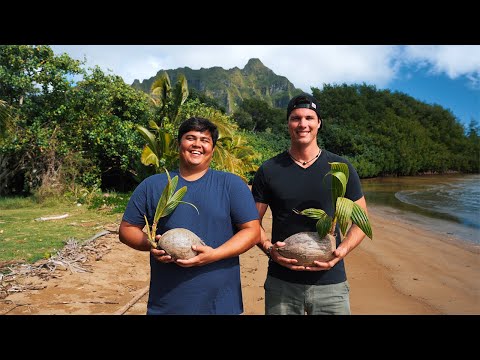 วีดีโอ: สำรวจไร่ Kualoa และหุบเขา Ka'a'awa แห่ง Oahu