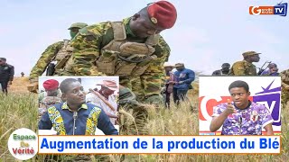 Espace De Vérité: Aziz Traoré décortique l'augmentation de la production du blé au Burkina Faso