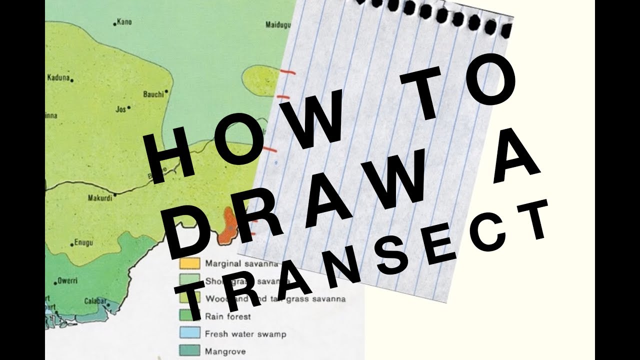 Transect Chart