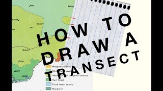 How to draw a Transect - Geo Skills