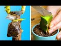 YOUR PLANTS WILL BE GRATEFUL || 27 green ideas