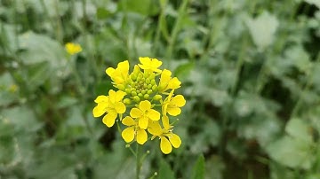 My First Vlog☀!! My First Video On YouTube!!3rd lahar!! My First Vlog 2023!! #myfirstvlog2023