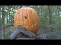 Pumpkin Carving in 2020  with a SIG M17