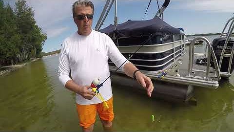 How to keep seagulls and birds off your boat