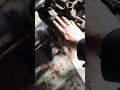 ATC200 Honda