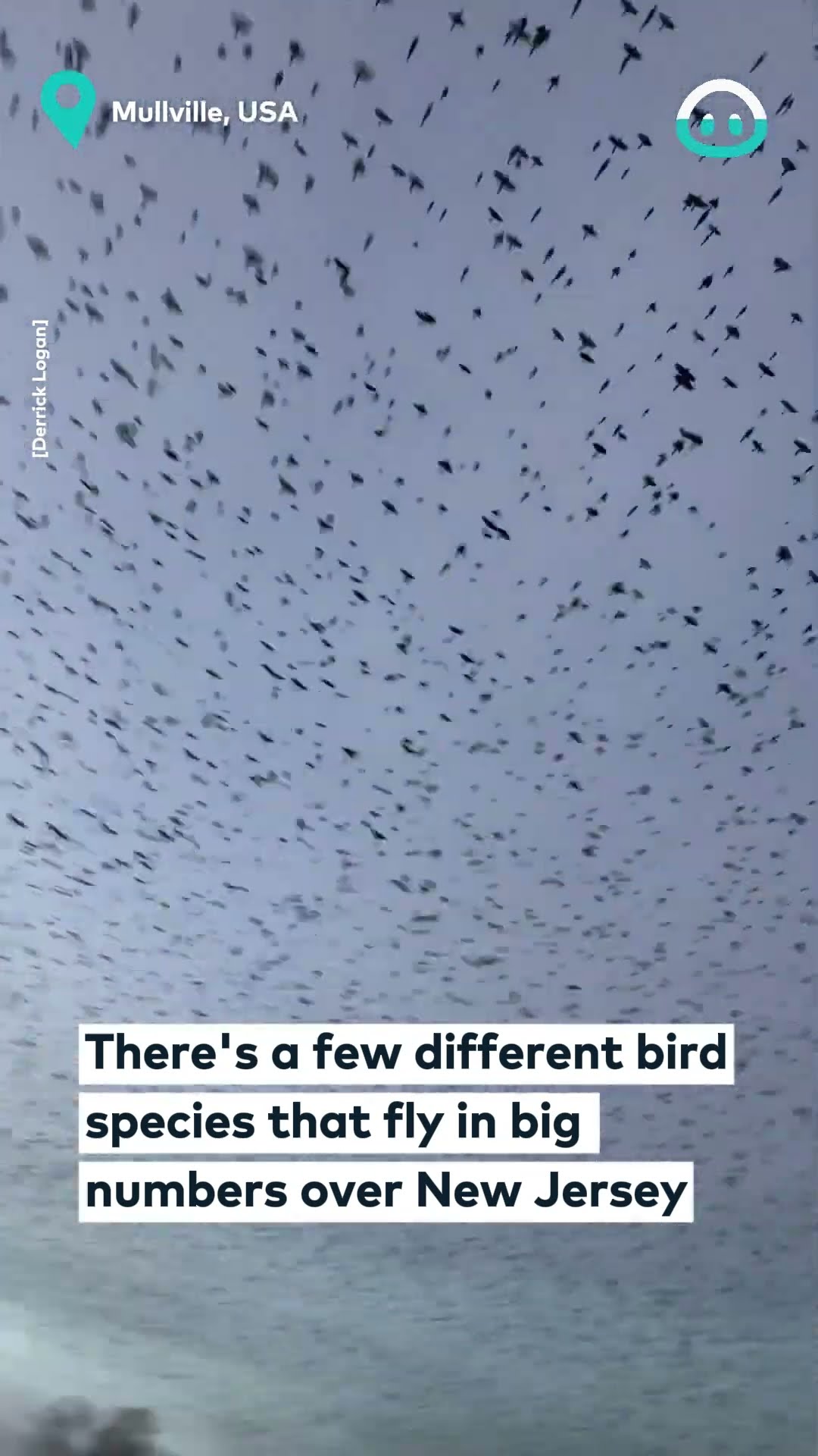 Mesmerizing Bird Migration Over New Jersey || ViralHog