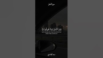 #سعد_الغامدي #سورة_النحل