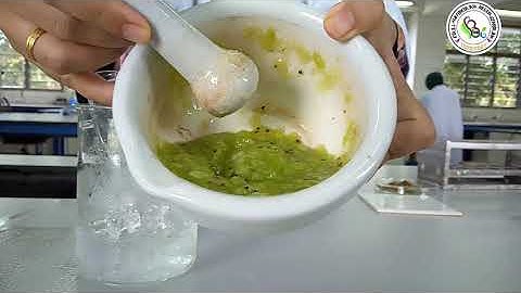 EXPERIMENT 6:  ISOLATING DNA SB015