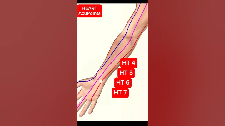 The Heart Meridian Acupuncture Points #acupuncture